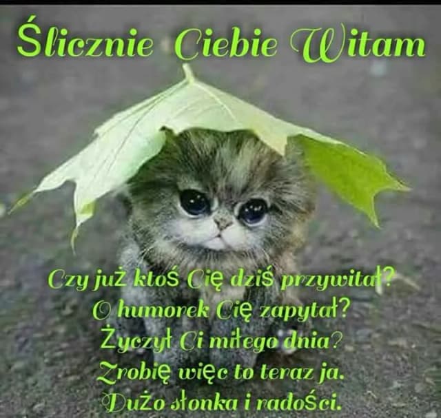 Najlepsze memy miłego dnia, które rozbawią i poprawią humor Najlepsze memy miłego dnia, które rozbawią i poprawią humor
