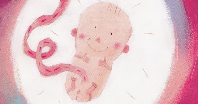 Mamo tato, skąd się wziąłem? Książka, która wyjaśnia dzieciom tajemnice życia Mamo tato, skąd się wziąłem? Książka, która wyjaśnia dzieciom tajemnice życia