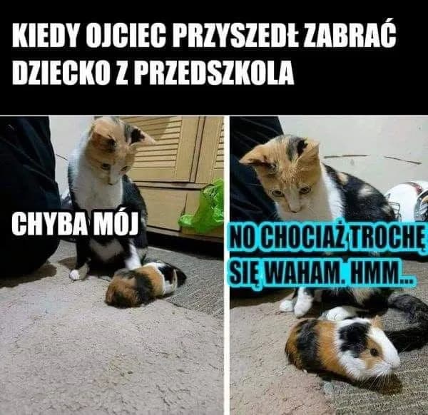 Śmieszne memy o ojcu odbierającym dziecko z przedszkola, które rozbawią każdego Śmieszne memy o ojcu odbierającym dziecko z przedszkola, które rozbawią każdego