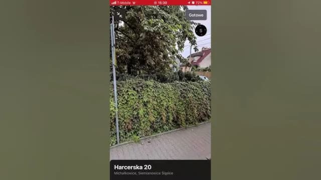 Gdzie mieszka Palion? Odkryj tajemnice życia w Siemianowicach Gdzie mieszka Palion? Odkryj tajemnice życia w Siemianowicach