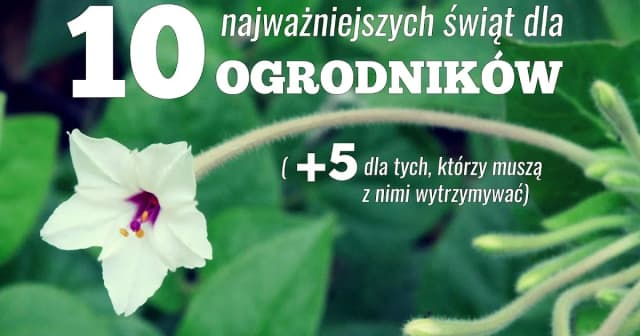 Kiedy jest dzień ogrodnika? Odkryj jego znaczenie i tradycje Kiedy jest dzień ogrodnika? Odkryj jego znaczenie i tradycje
