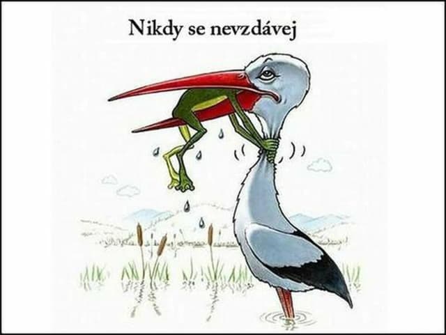 Memy nigdy się nie poddawaj – inspiracja i motywacja w obrazkach Memy nigdy się nie poddawaj – inspiracja i motywacja w obrazkach