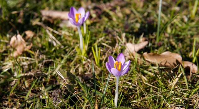 Kiedy dzień jest równy nocy? Odkryj tajemnice równonocy Kiedy dzień jest równy nocy? Odkryj tajemnice równonocy