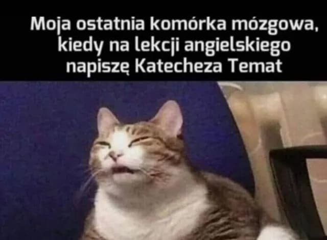 Najlepsze memy ale jaja, które rozbawią cię do łez Najlepsze memy ale jaja, które rozbawią cię do łez