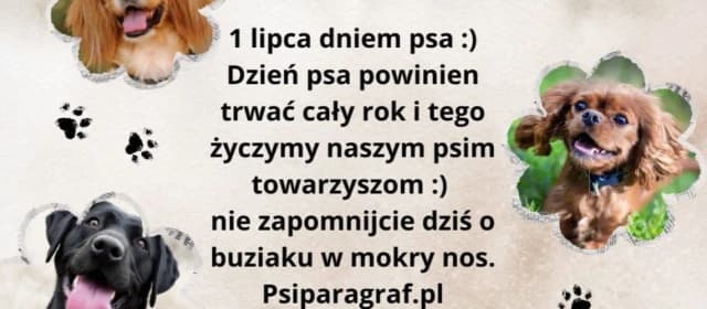 Kiedy jest dzień psa? Sprawdź daty i znaczenie tego wyjątkowego dnia Kiedy jest dzień psa? Sprawdź daty i znaczenie tego wyjątkowego dnia