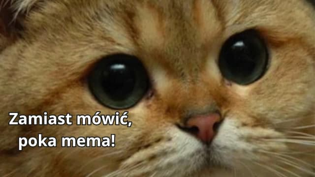 Co to jest mem? Zrozumienie memów w kulturze internetowej Co to jest mem? Zrozumienie memów w kulturze internetowej