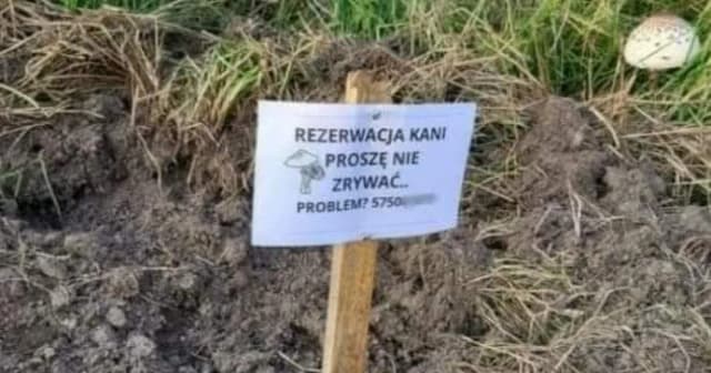 Najlepsze memy o kani, które rozbawią cię do łez Najlepsze memy o kani, które rozbawią cię do łez