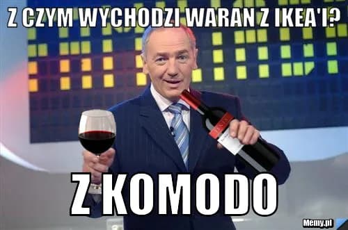 Najlepsze memy z waranem z Komodo, które rozbawią każdego internautę Najlepsze memy z waranem z Komodo, które rozbawią każdego internautę
